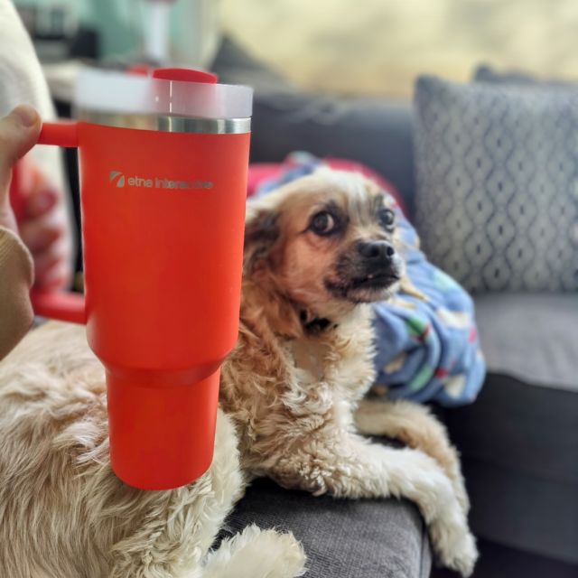 🎉 Cheers to teamwork! 🎉

Thanksgiving is almost here, and we’re feeling extra grateful for the teamwork that makes Etna thrive. 💙💪 Our new @stanley_brand  cups from leadership are the perfect reminder of what we can achieve together. 🥤✨

Here’s to gratitude, collaboration, and staying inspired as a team this season. 💫

#ThankYou #EtnaInteractive #TeamworkGoals #CheersToTeamwork #thanksgivingvibes #stanleycup